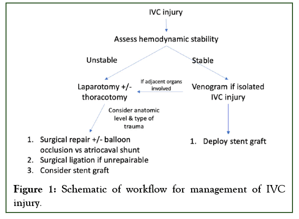 vascular-medicine-workflow