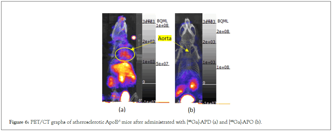 Analytica-Acta-graphs