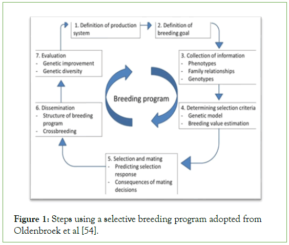 Aquaculture-Research-breeding