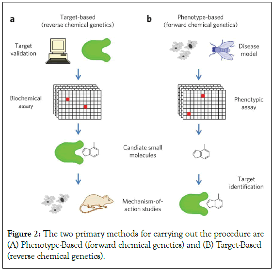 Experimental-Pharmacology-Phenotype