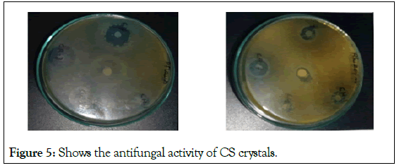 Microbial-Biochemical-antifungal