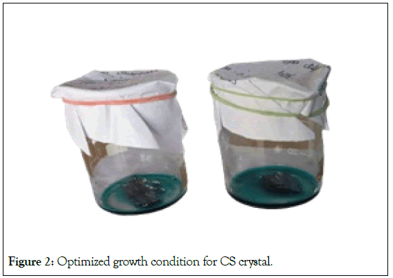 Microbial-Biochemical-growth