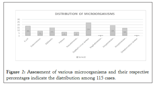 biology-medicine-cases