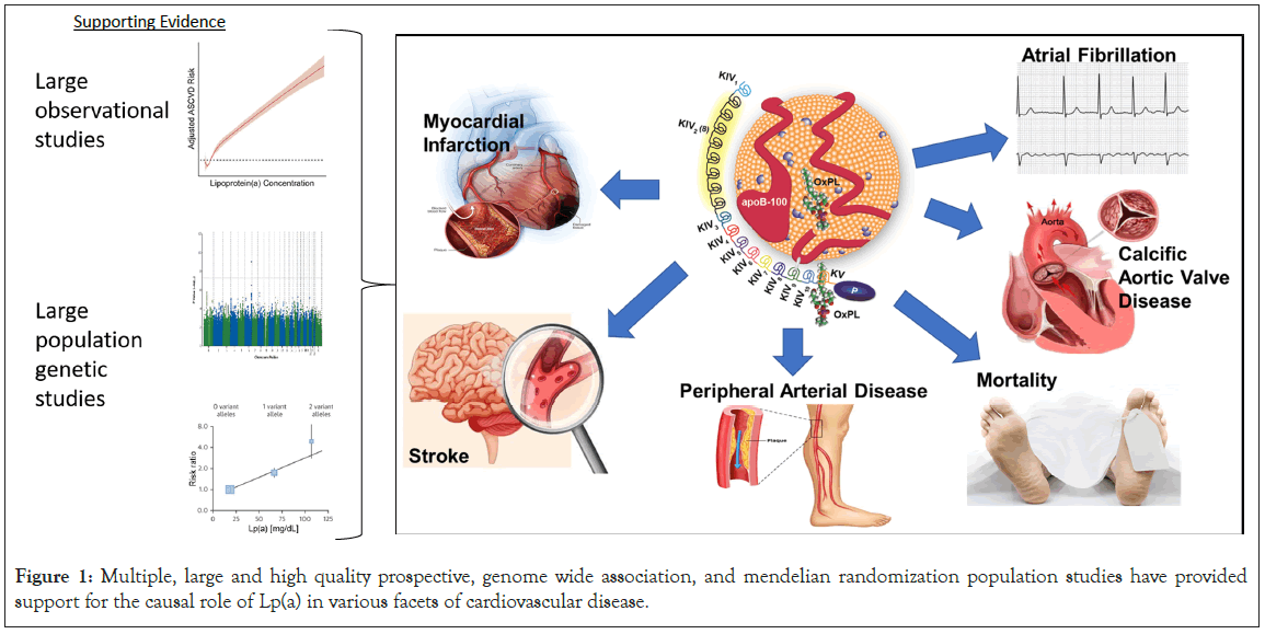 care-reviews-mendelian