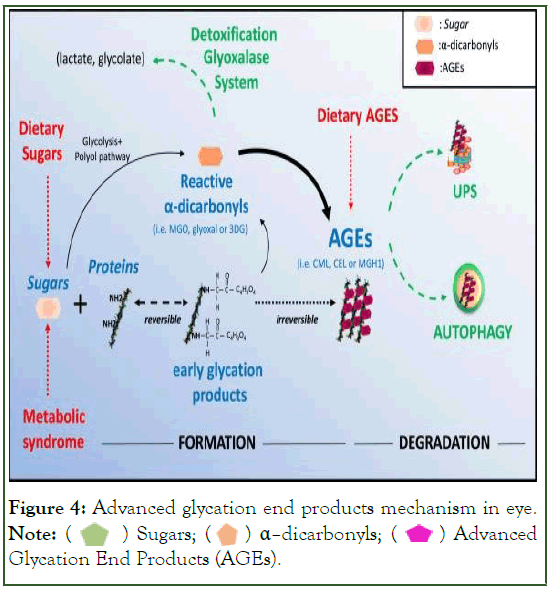 eye-diseases-glycation