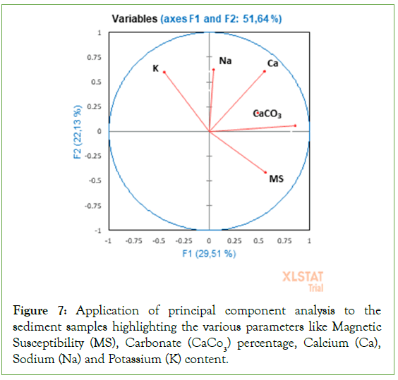 geophysics-remote-principal