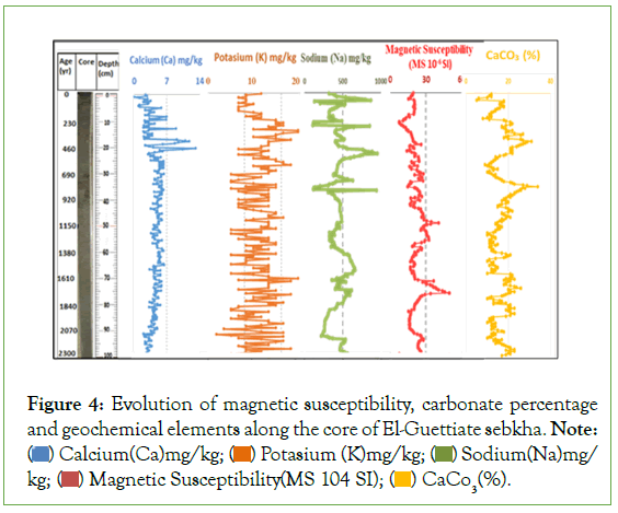 geophysics-remote-susceptibility