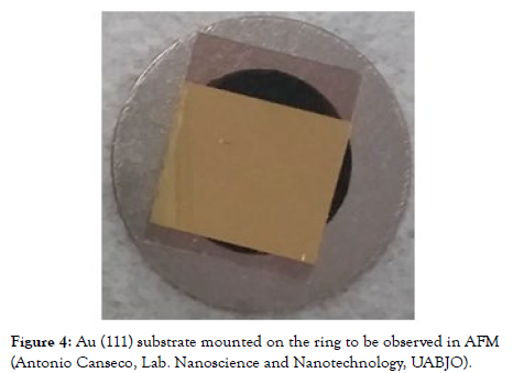 nanomedicine-nanotechnology-substrate