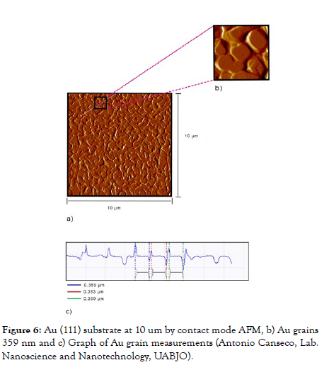 nanomedicine-nanotechnology-substrate