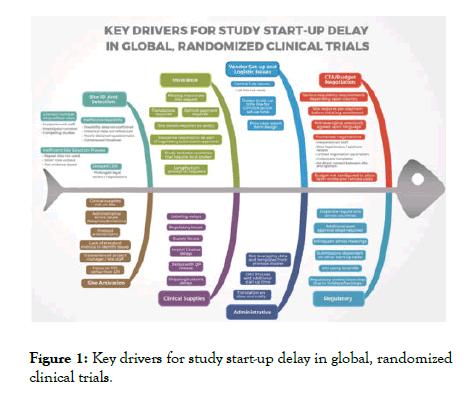 research-bioethics-study