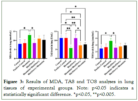 blood-disorders-transfusion-exclusion