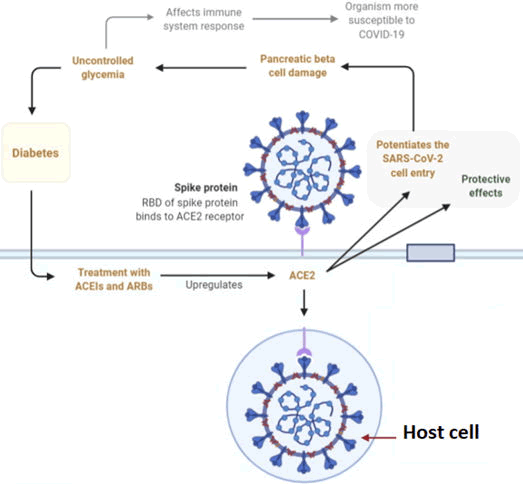 ipqpc-atp
