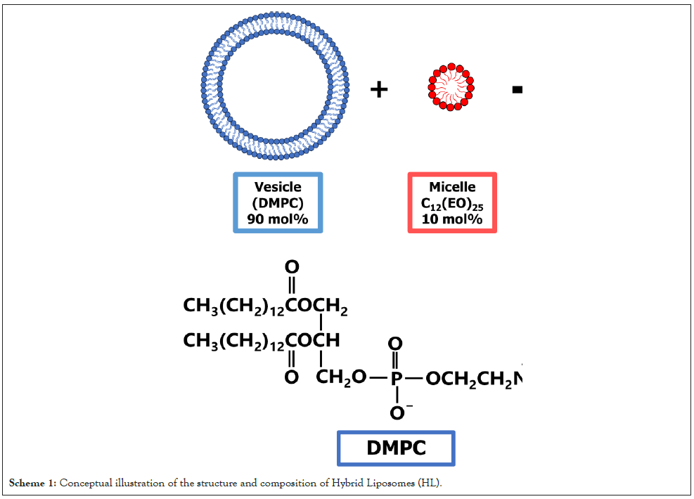 mutagenesis