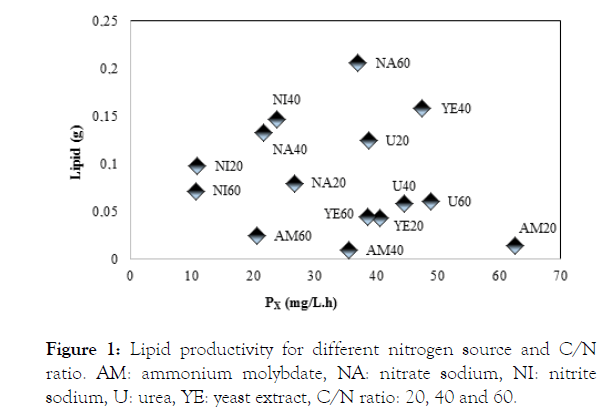 Advanced-Chemical-Lipid