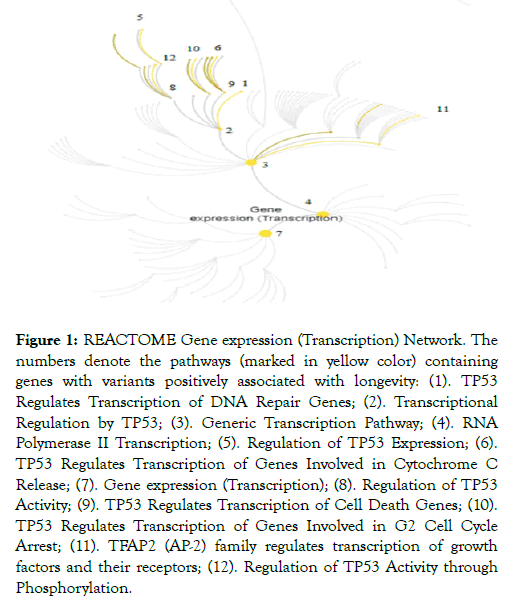 Aging-Science-pathways