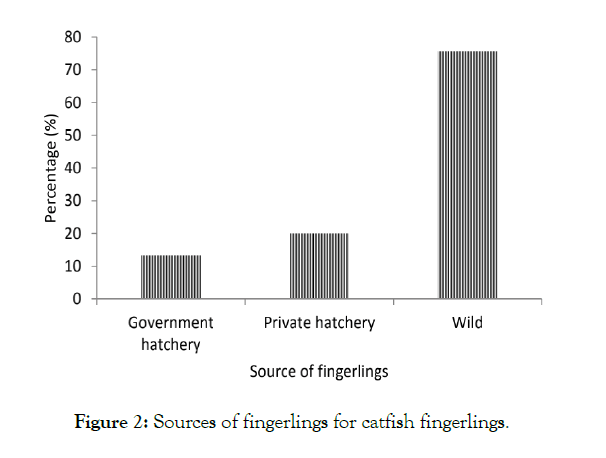 Aquaculture-Research-catfish-fingerlings