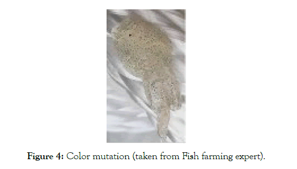 Aquaculture-Research-color-mutation