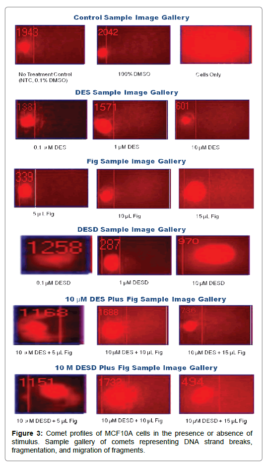 Bioequivalence-Bioavailability-Comet-profiles