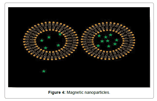 Biomolecular-Therapeutics-Magnetic