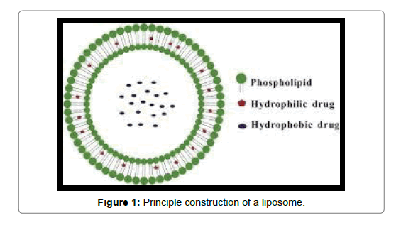 Biomolecular-Therapeutics-liposome