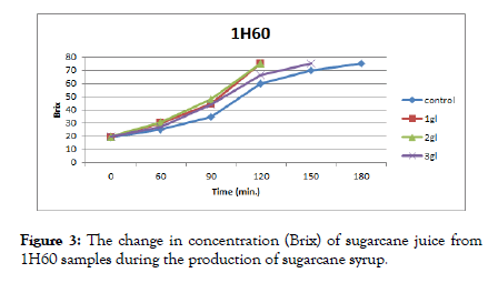 Food-Processing-concentration