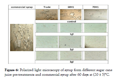 Food-Processing-microscopy