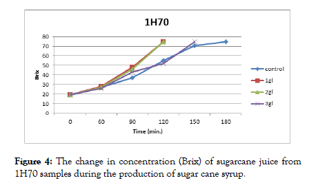 Food-Processing-syrup