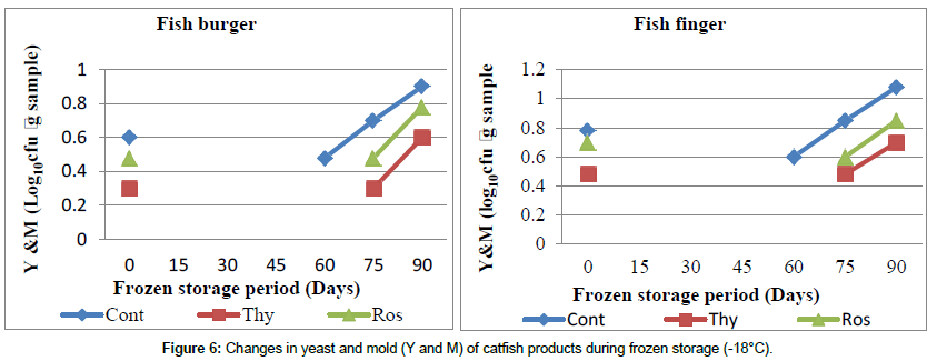 Food-Processing-technology-frozen-storage