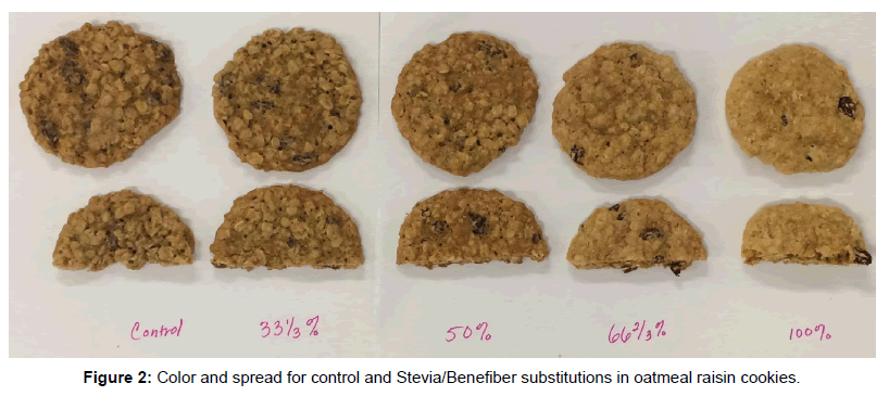 Food-Processing-technology-raisin-cookies