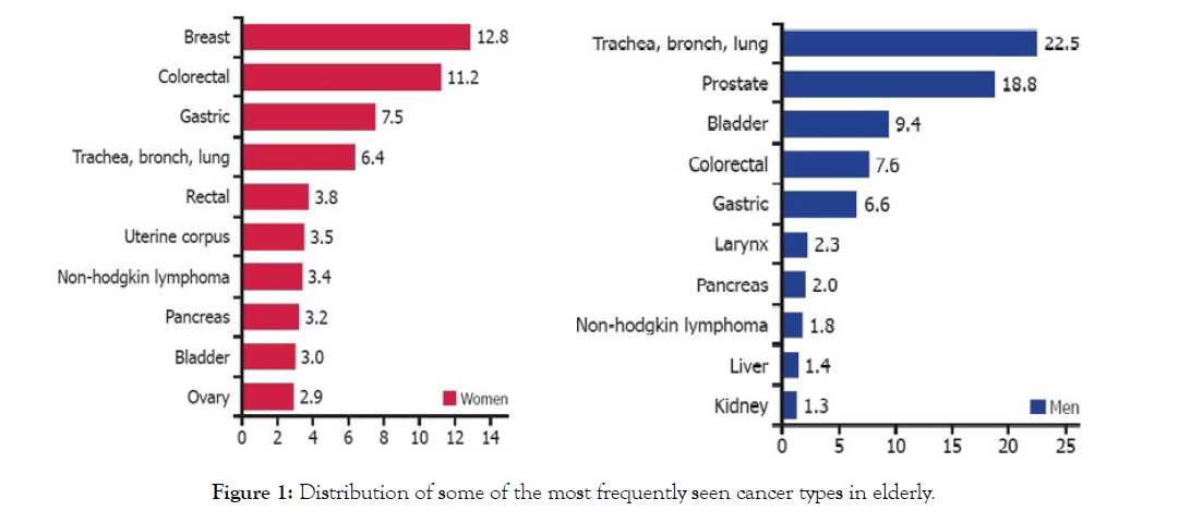 Gerontology-Geriatric-Research-cancer-types