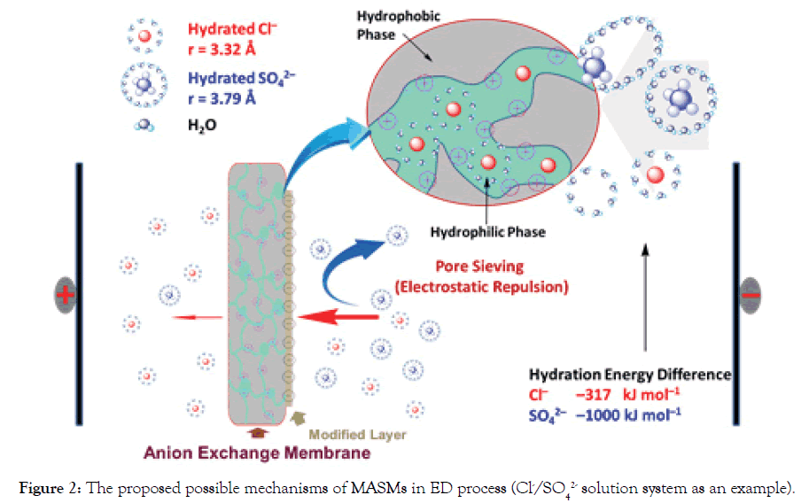 Membrane-Science-Technology-process