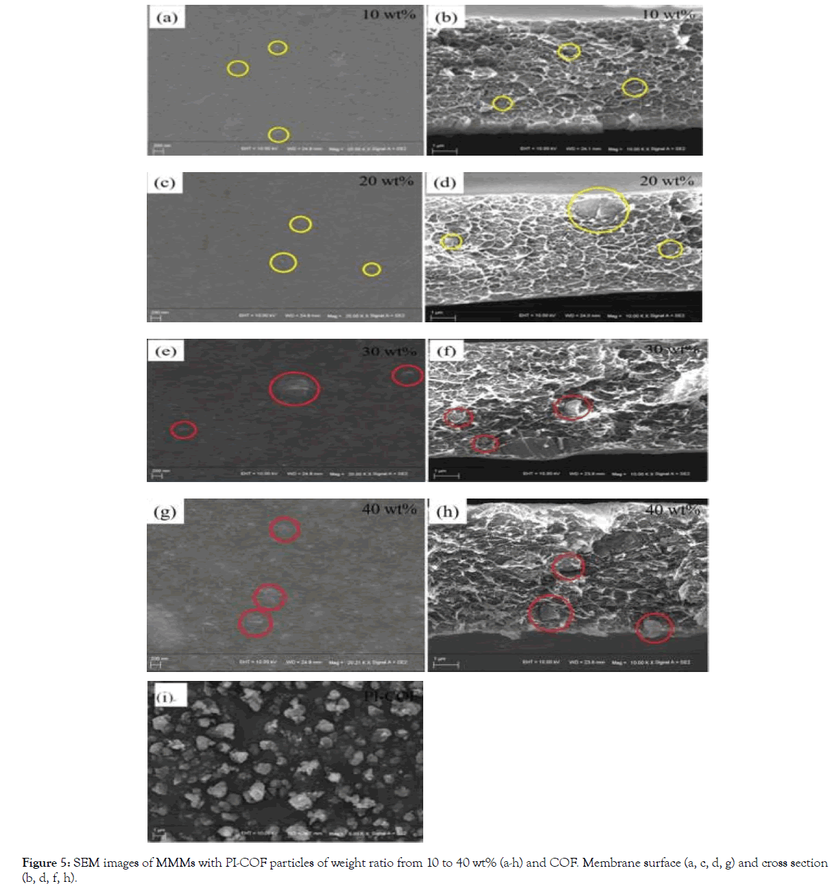 Membrane-Science-Technology-weight