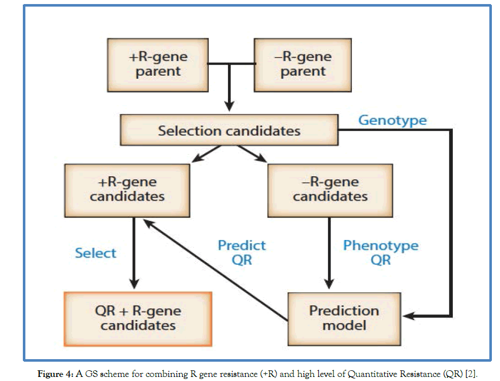 Pathology-Microbiology-Quantitative-Resistance