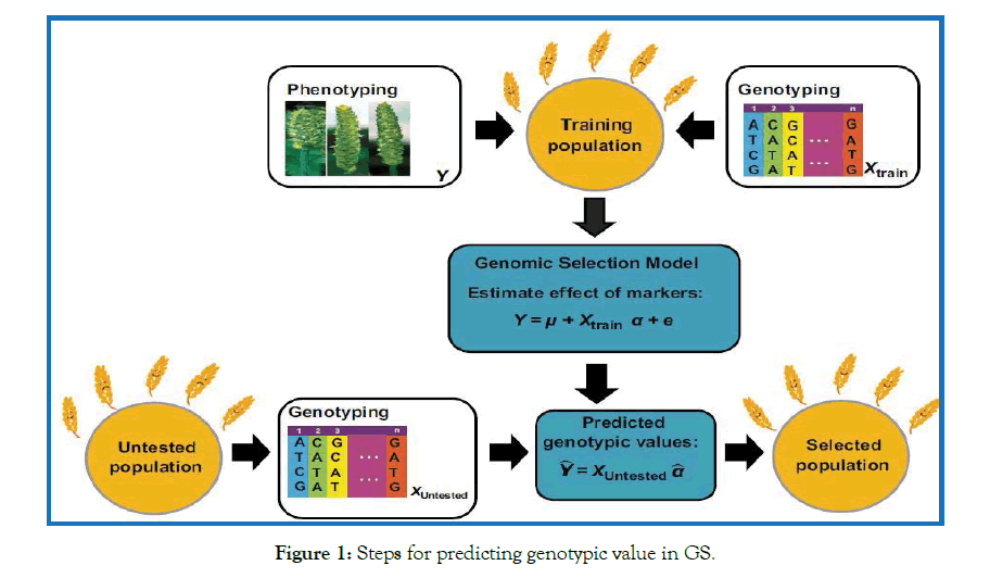 Pathology-Microbiology-genotypic-value