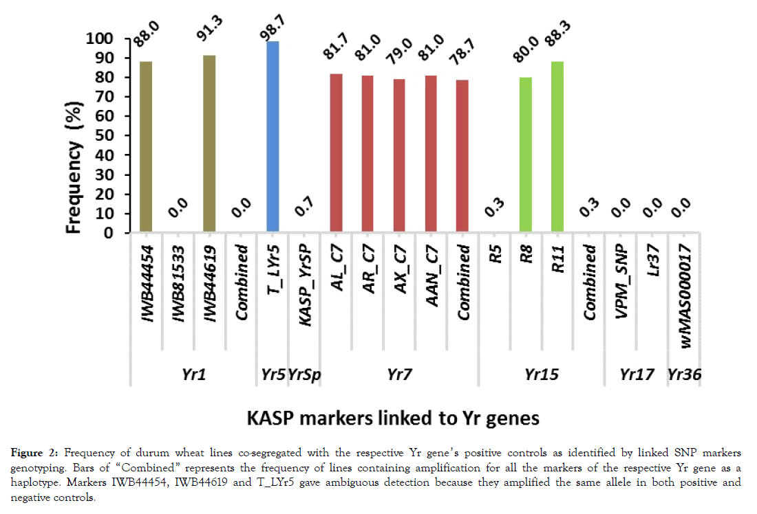 Plant-Pathology-containing-amplification