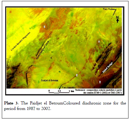 Remote-Sensing-BetoumColoured