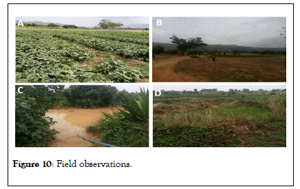 Remote-Sensing-Field-observations