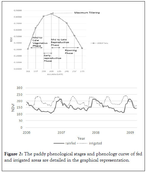 Remote-Sensing-GIS-phenological