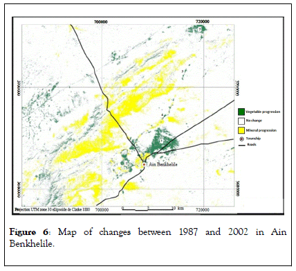 Remote-Sensing-Pinus-1987