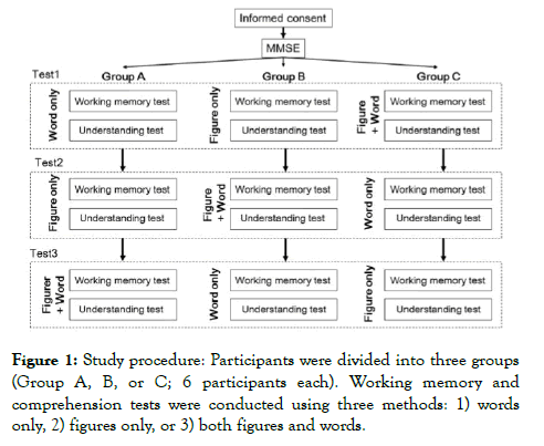 aging-science-Working-memory