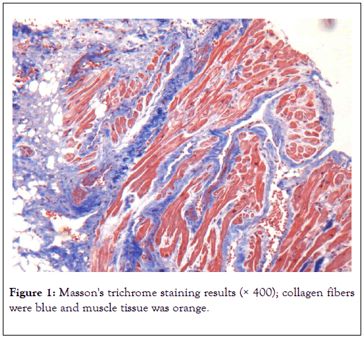 aging-science-staining