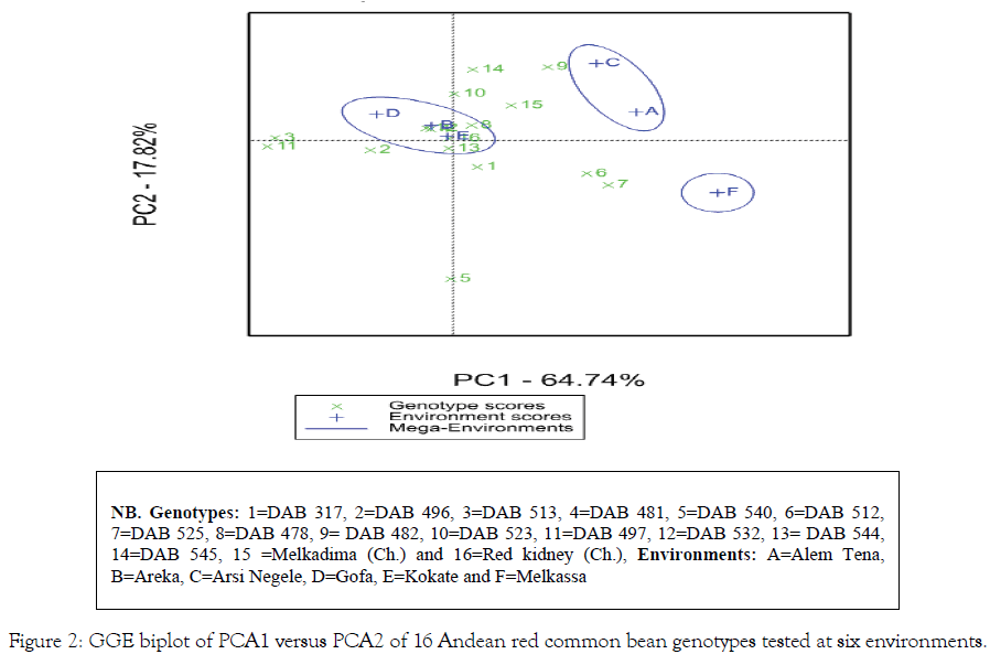 agrotechnology-biplot-andean-genotypes