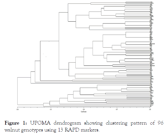 agrotechnology-dendrogram-clustering