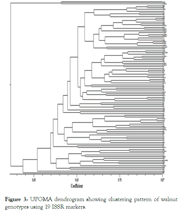 agrotechnology-dendrogram-clustering