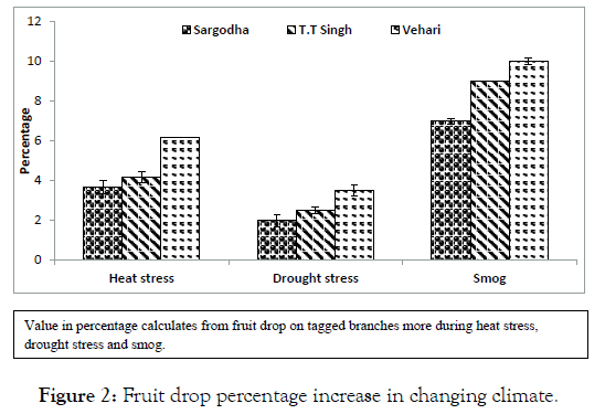 agrotechnology-fruit-climate