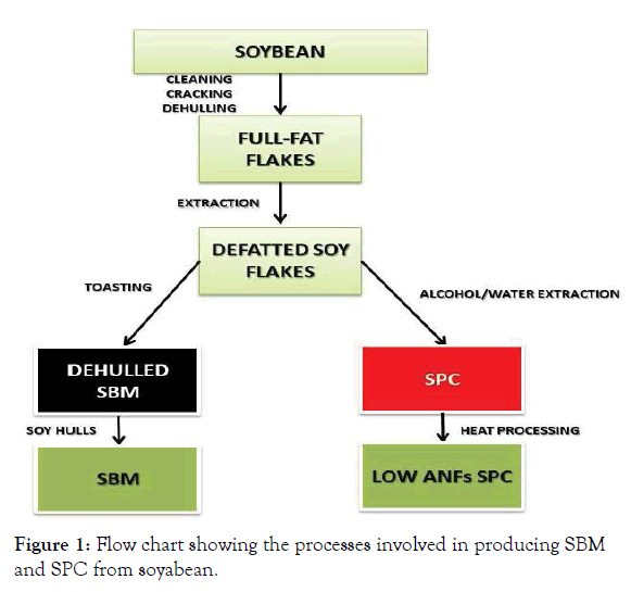 aquaculture-research-development-SPC-soyabean