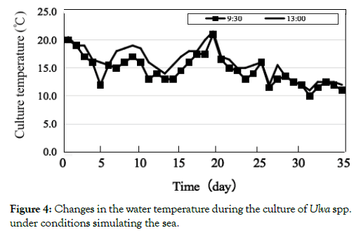 aquaculture-research-development-culture