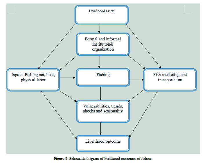 aquaculture-research-development-livelihood