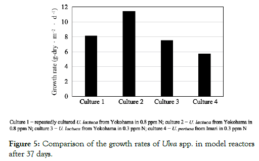 aquaculture-research-development-model