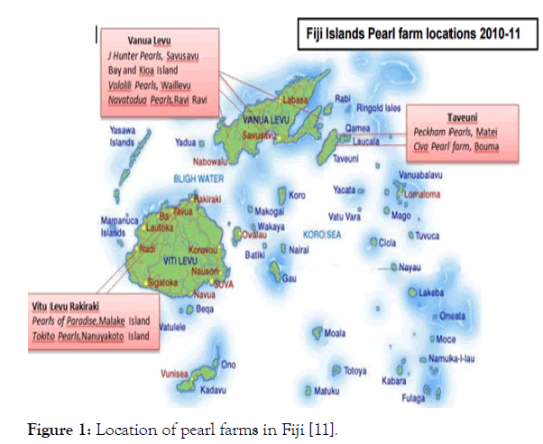 aquaculture-research-development-pearl-farms